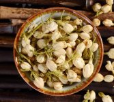 鮮茉莉花怎么炮制成茶？