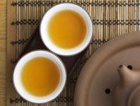 苦蕎茶與梔子花可以泡茶嗎？