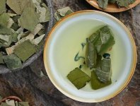 荷葉茶為什么叫短命茶？