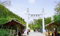 5月12日：徒步貢茶古道，天然氧吧，綠色之旅